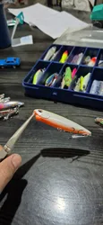 Imagen de reseña 3