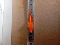Imagen de reseña 3