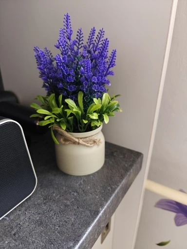 Mini Fake Potted Flowers Evergreen Bonsai Potted Ornaments Fake Plant Table Decor Simulated Tree Pot Plants Home Garden Decor photo review