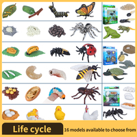 Life Cycle Learning Education Toys, Insect Caterpillar to Butterfly kit, Bee, Tadpole to Frog Kit Life Cycle Toys for Kids