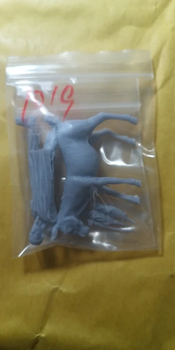 Buyer photo of this resin kit