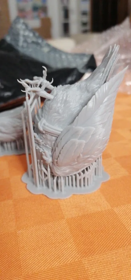 Buyer photo of this resin kit