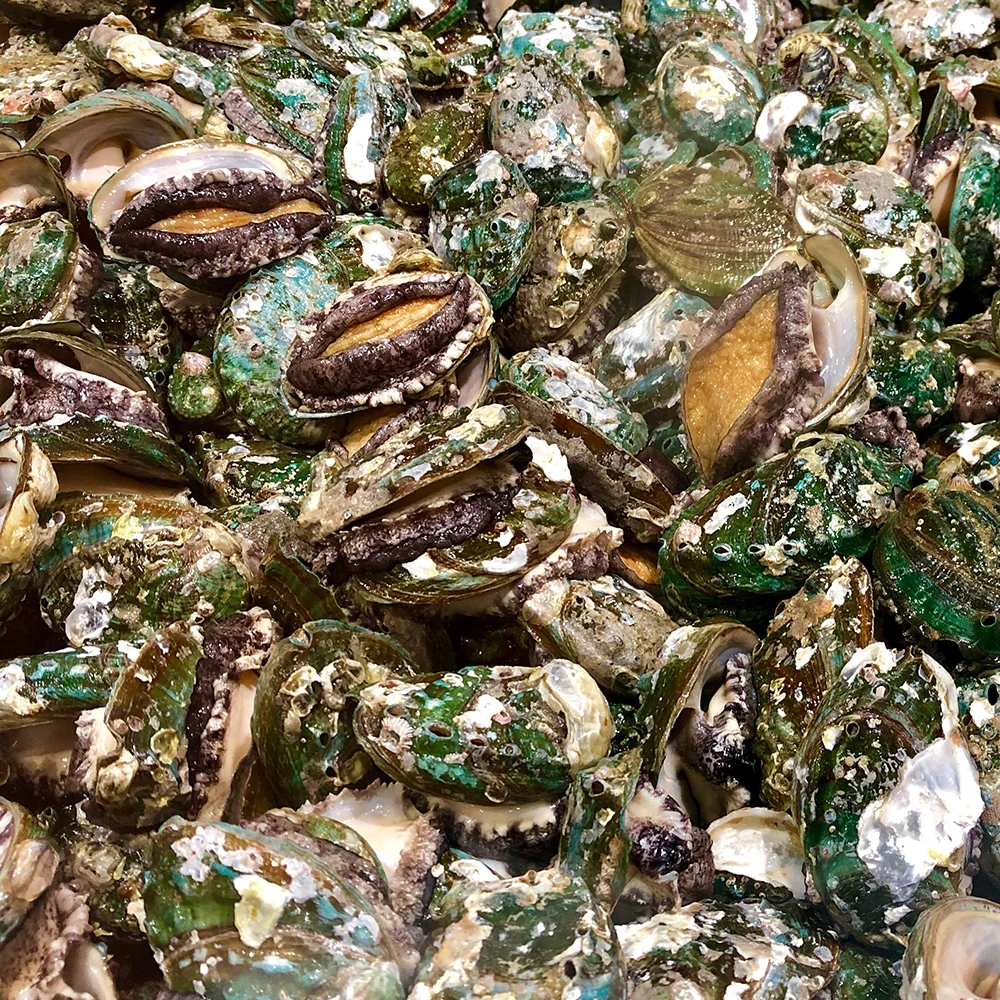 미다몰 그곳에가면 국내산 완도 활 전복 21-25미내외 1kg 소