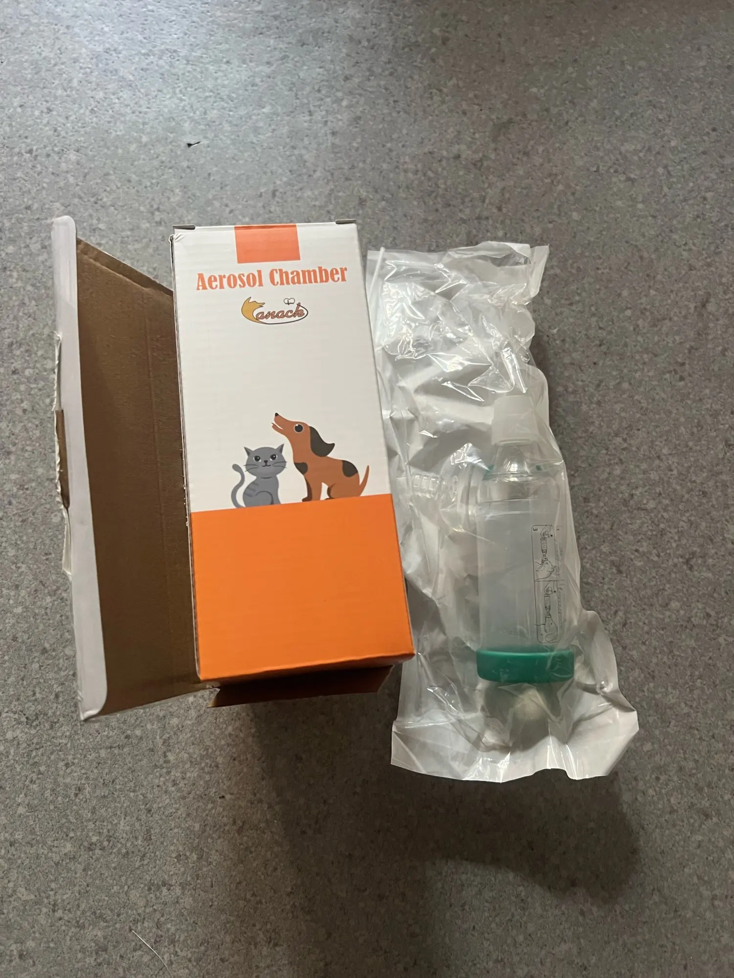 실물 포토 리뷰