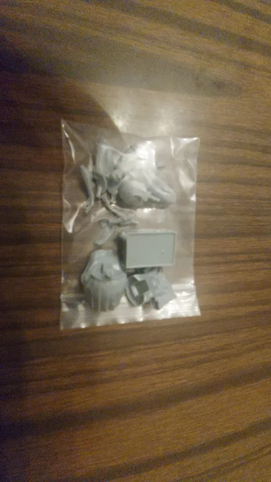 Buyer photo of this resin kit