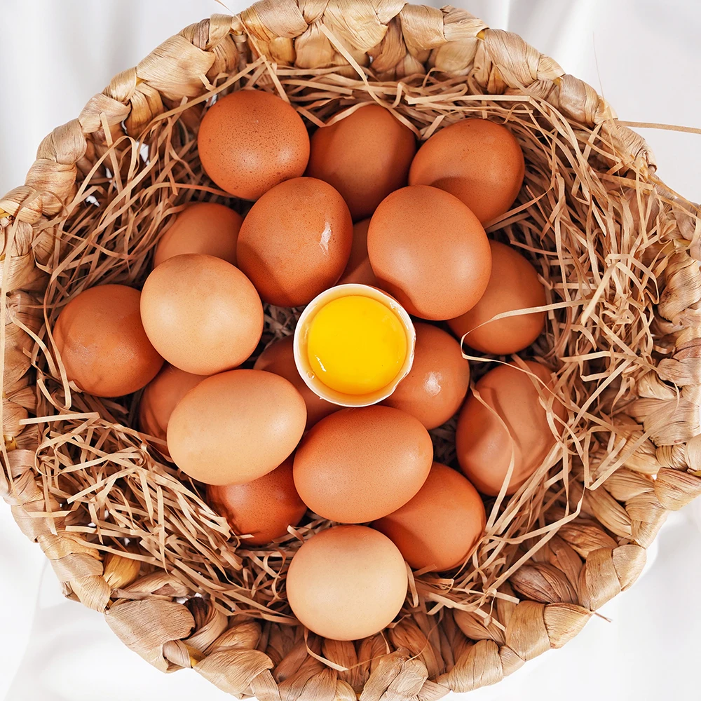بيض الإشعاع الطبيعي ، قشر البيض العضوي الخالي من المضادات الحيوية ، رقم 1 ، 20 ، 40 ، 60 #5