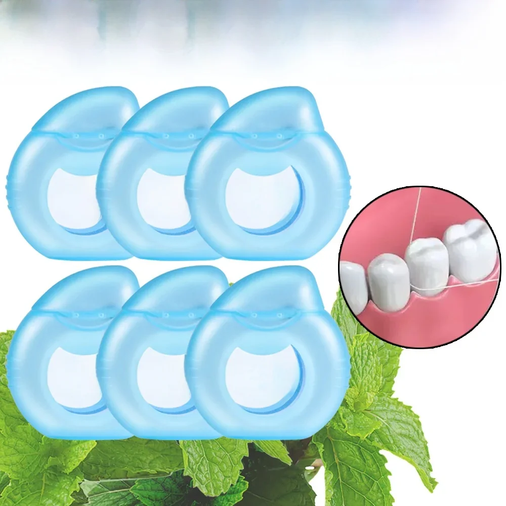 Rouleau de fil à la menthe poivrée, outils de nettoyage buccaux, bâton de fil dentaire, ensemble de maison pour adultes, 6 pièces/3 pièces/1 pièce