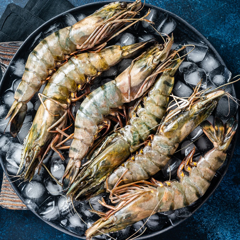 [Domestic Shipping] Black Tiger King Shrimp/King Shrimp/Shrimp (EUrosize/Middle/Middle) Perfect for camping