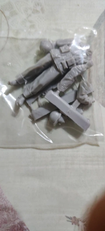Buyer photo of this resin kit