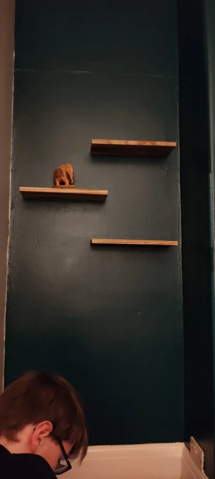 1pc Floating Shelves Wooden Wall Mounted Storage Shelf Deeper Thicker Bathroom Shelves for Living Room, Bedroom, Kitchen photo review