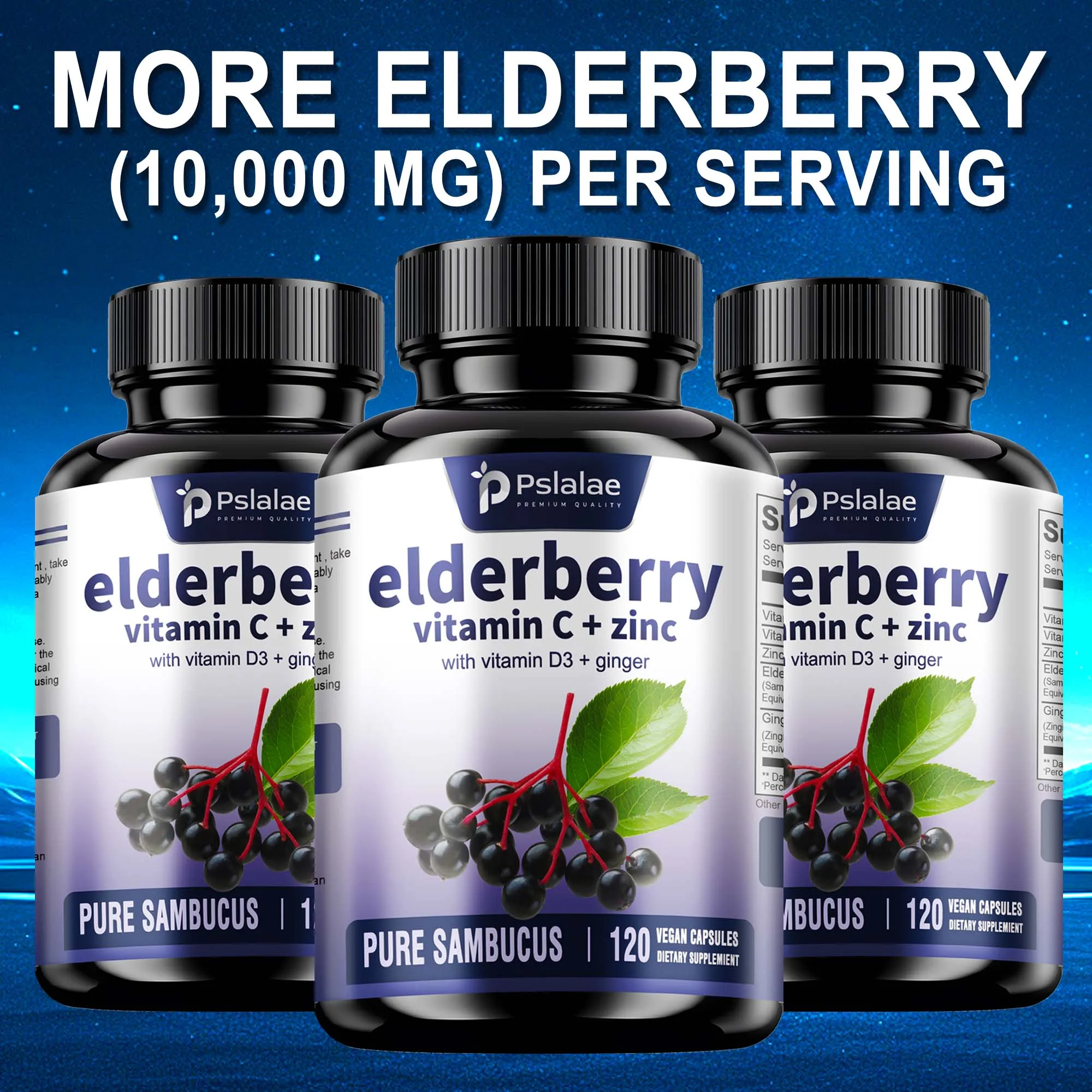 Elderberry - Supports Immune System Health, Antioxidant Levels, Vitamin C and Zinc - 120 Capsules