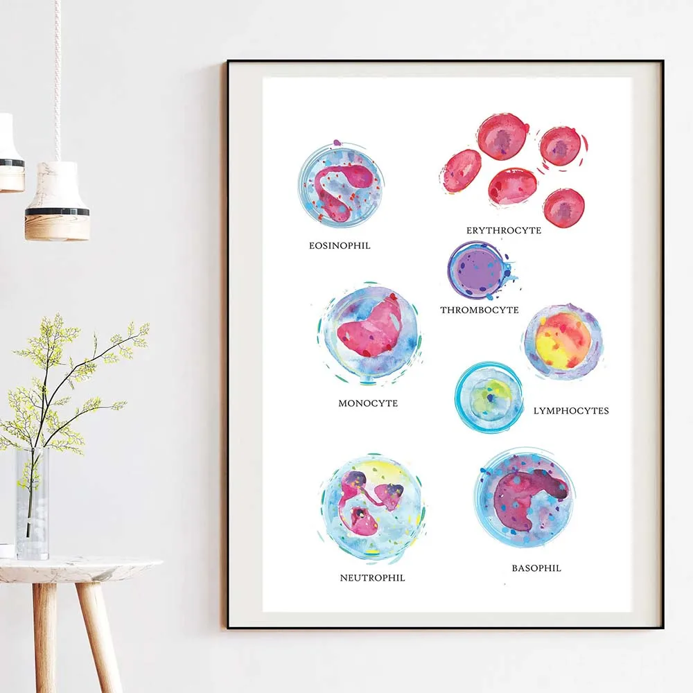 Physician Blood Cell Anatomy Wall Art Physician Canvas Print Watercolor Hematology Painting Poster Biology Medical Gift Decor