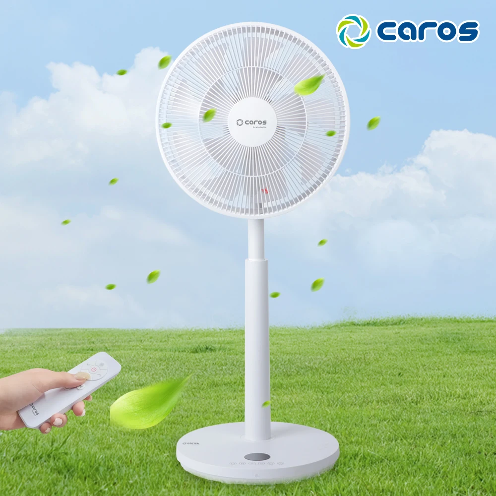 مروحة كاروس اللاسلكية 14 بوصة شفرات مزدوجة Bldc جهاز تحكم عن بعد منخفض الضوضاء كبير Caf-B14Wl لامتصاص