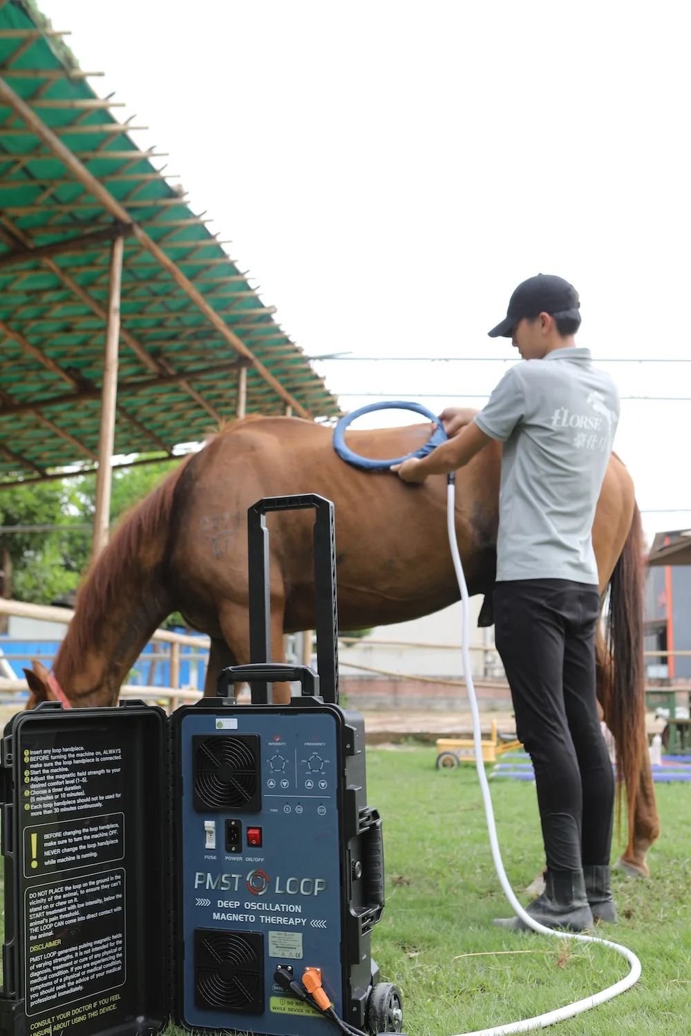 Tangora Magnetic Therapy อุปกรณ์ PMST Loop Rehabilitation Machine กายภาพบําบัดบรรเทาอาการปวด