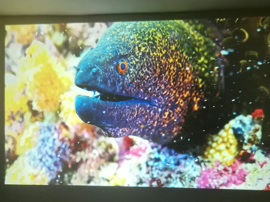 리뷰 사진