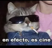 ZTTO MTB Hydraulic Disc Brake 2 Piston Lightweight XC Trail Calipers Original Metal Pads Oil Pressure Rotor M6100 M8100 G55 - AliExpress 