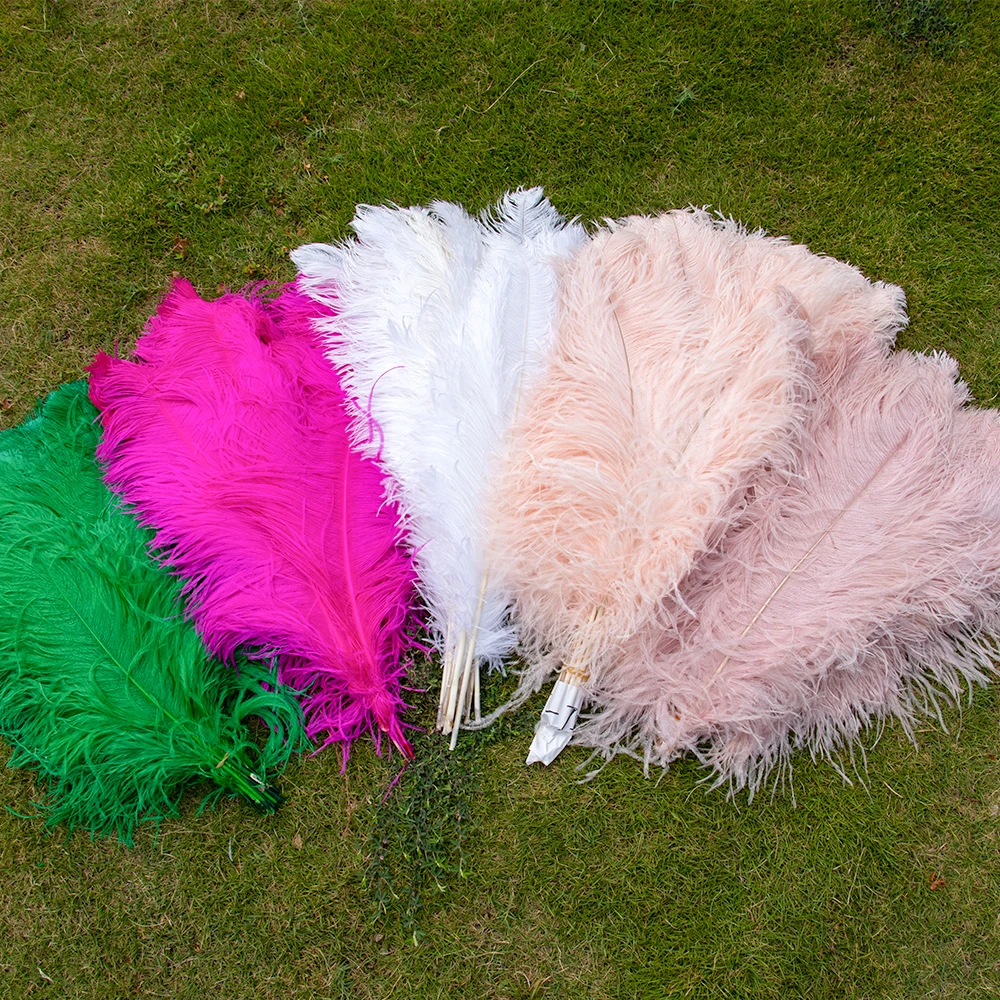 10Pcs/Lot White Ostrich Feathers 15--55 Cm Black Feather for Crafts Wedding Party Home Vases Table Plumes Decoration Accessories