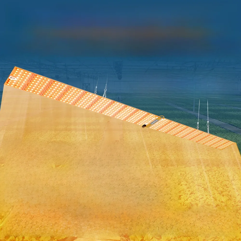 LED Grow Light Quantum Board Hidroponia de Flores Interior Lâmpada de Cultivo para Plantas Estufa