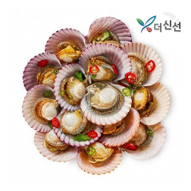 3kg of Scallops from Tongyeong (about 70 pieces) + Free 100g Chogochujang (Korean Spicy Vinegar Chili Sauce)