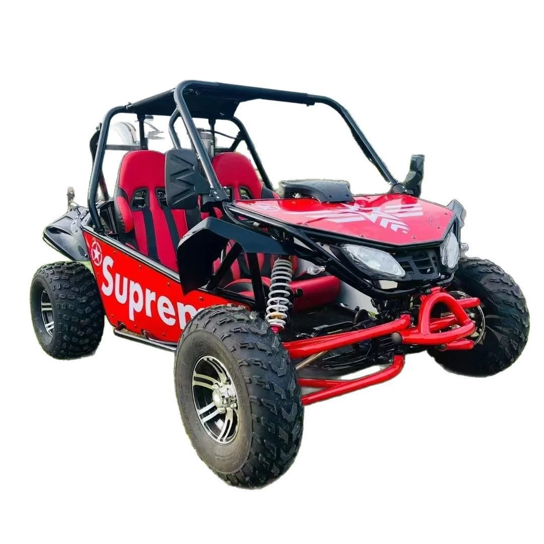 Custom 200cc 2-Seater UTV Side by Side All-Terrain Vehicle Off-Road Buggy OEM