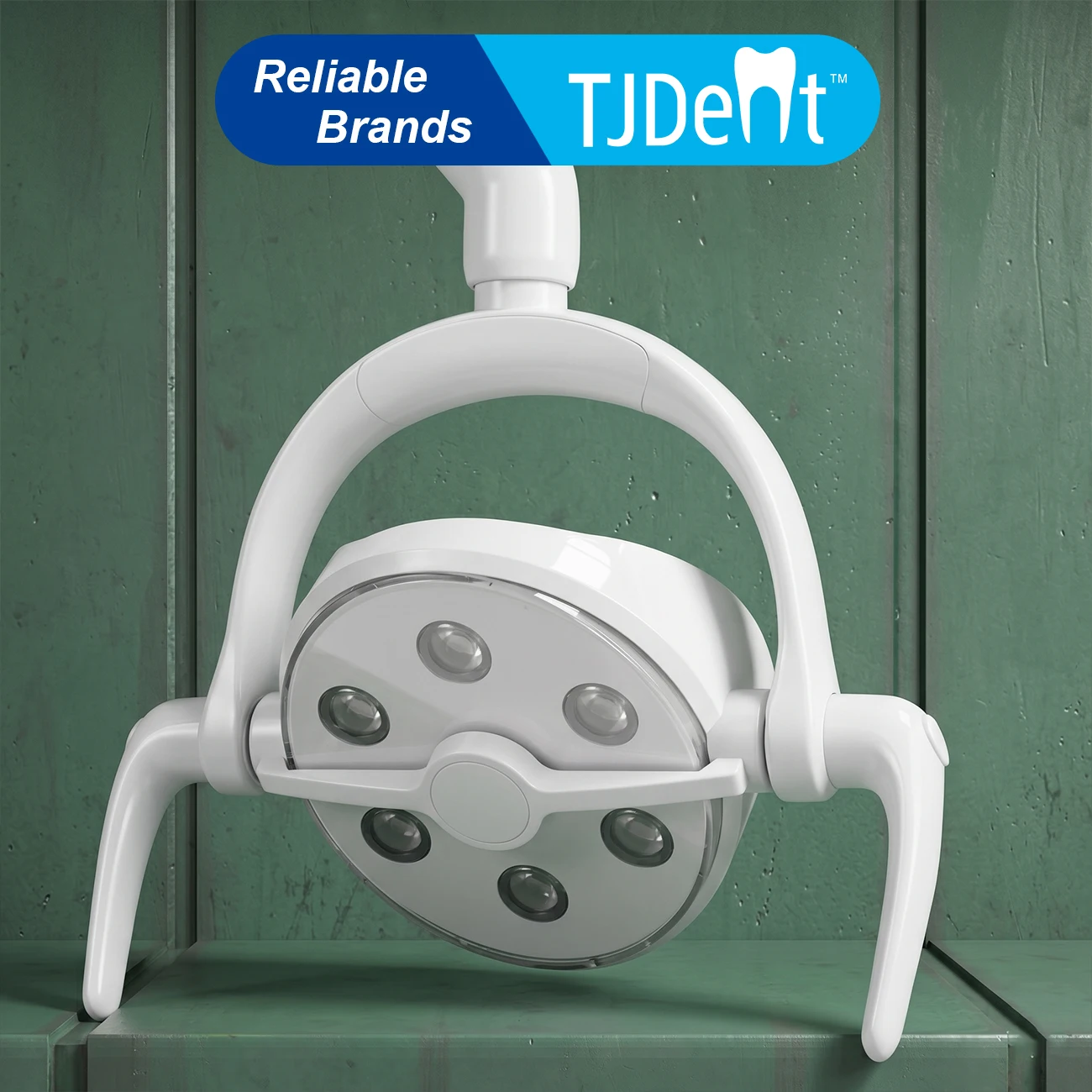 TJDent Dental LED Light Oral Six Bulbs LED Lamp with 22mm to 26mm Adapter Ring For Dental Chair Unit Dentistry Equipments Tools
