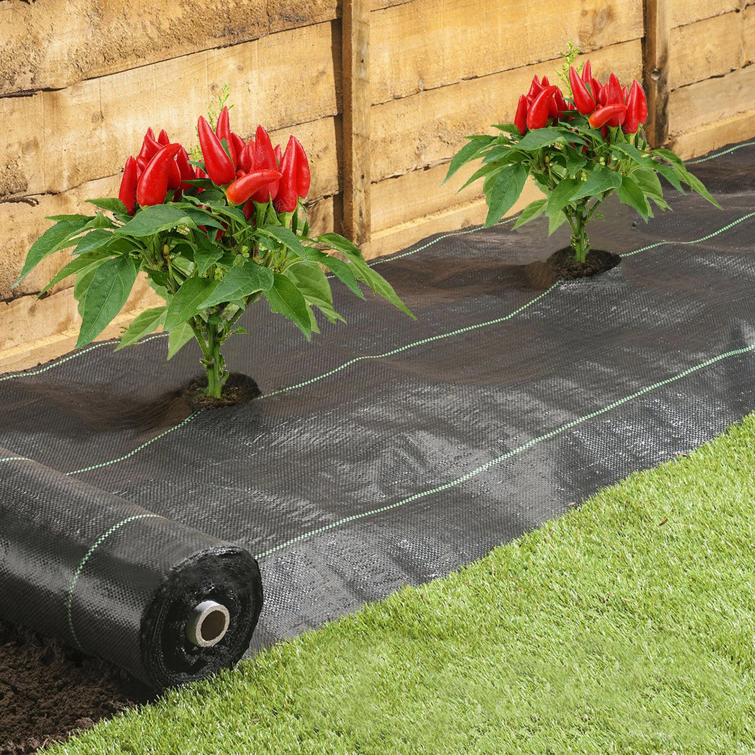 

Landscape Fabric Weed Barrier 4 ft. x 25 ft. 3.0 oz. Ground Cover Garden Mats 6 Rows, Planting Hole, 4 in. Dia