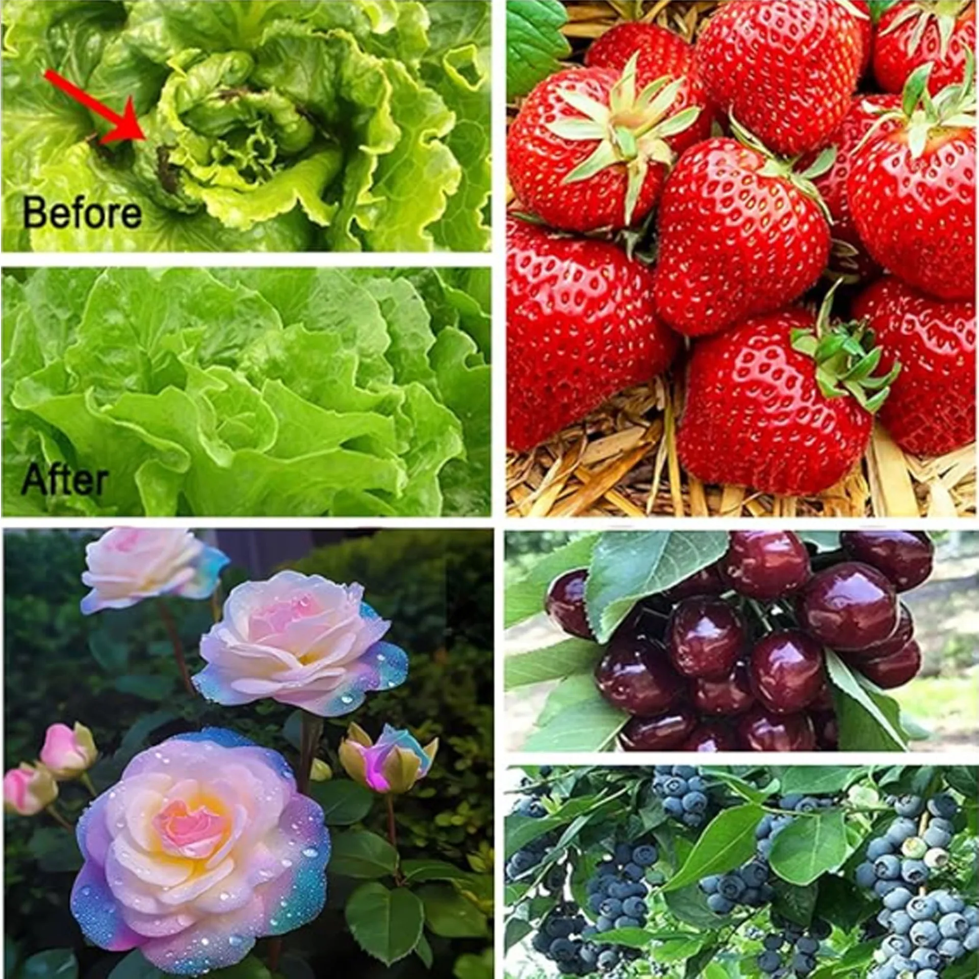 Mesh Plant Cover Netting Guard Multipurpose Garden Plant Protectors Fruit Mesh Plant Enclosure  Chicken Bird Control 180x40cm