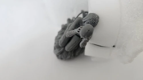 Buyer photo of this resin kit
