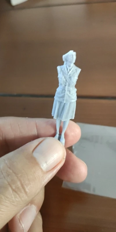 Buyer photo of this resin kit