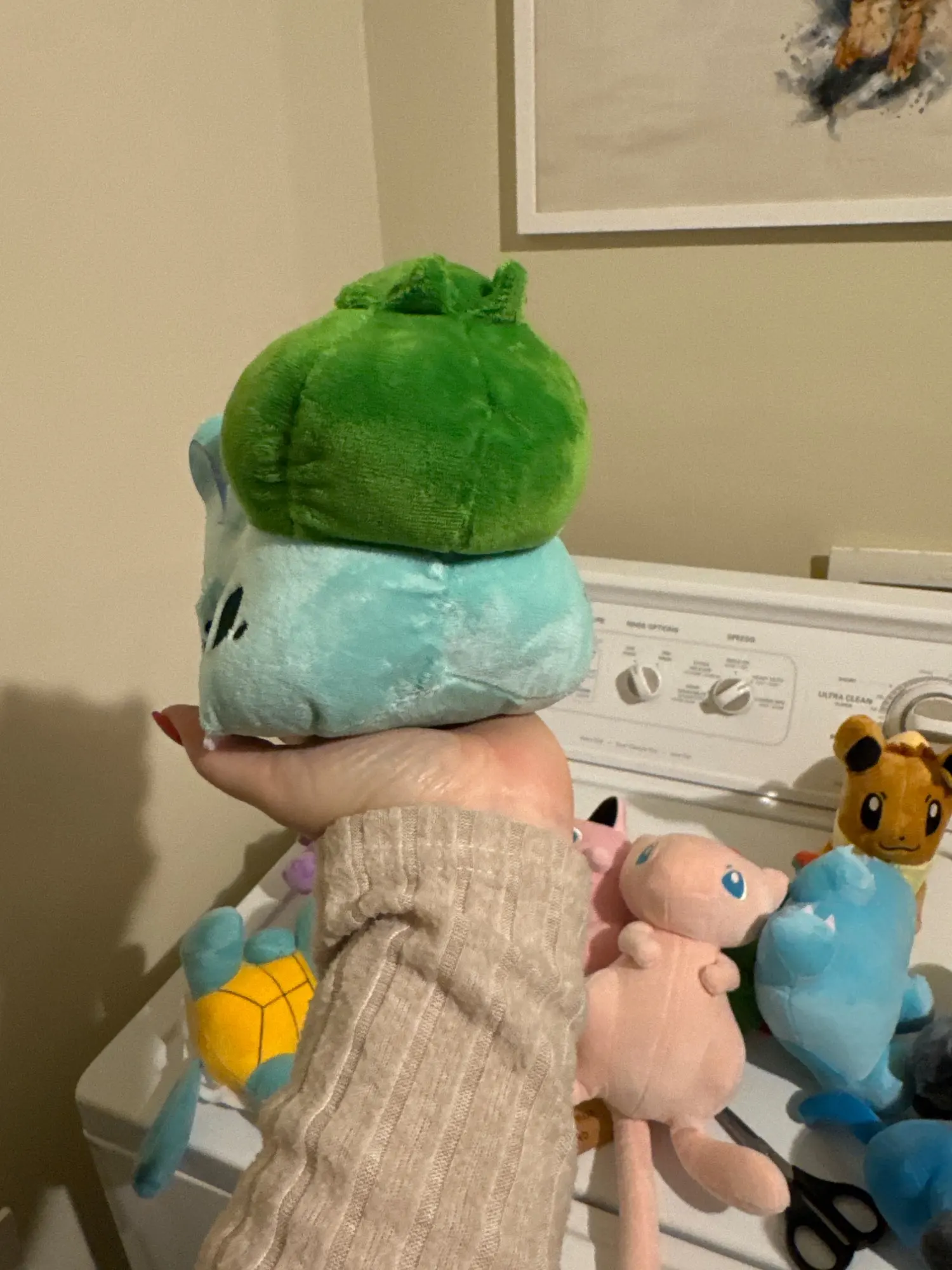 Customer review photo