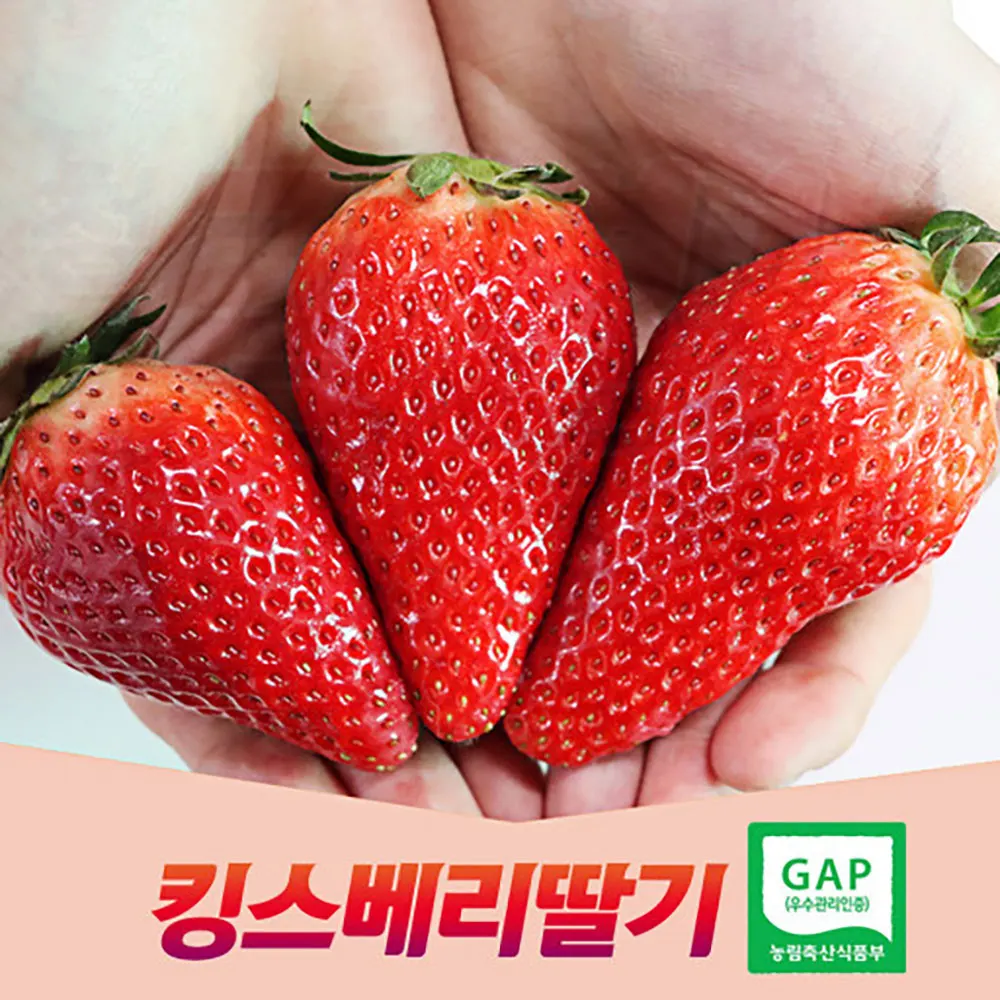 Nonsan Kingsberry wild strawberry 400G Special