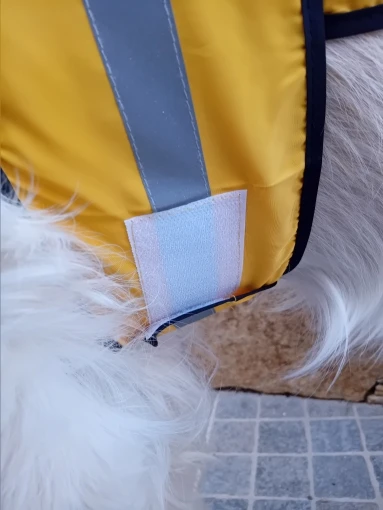 Customer review photo for Waterproof Dog Raincoat — Adjustable, Windproof & Hooded