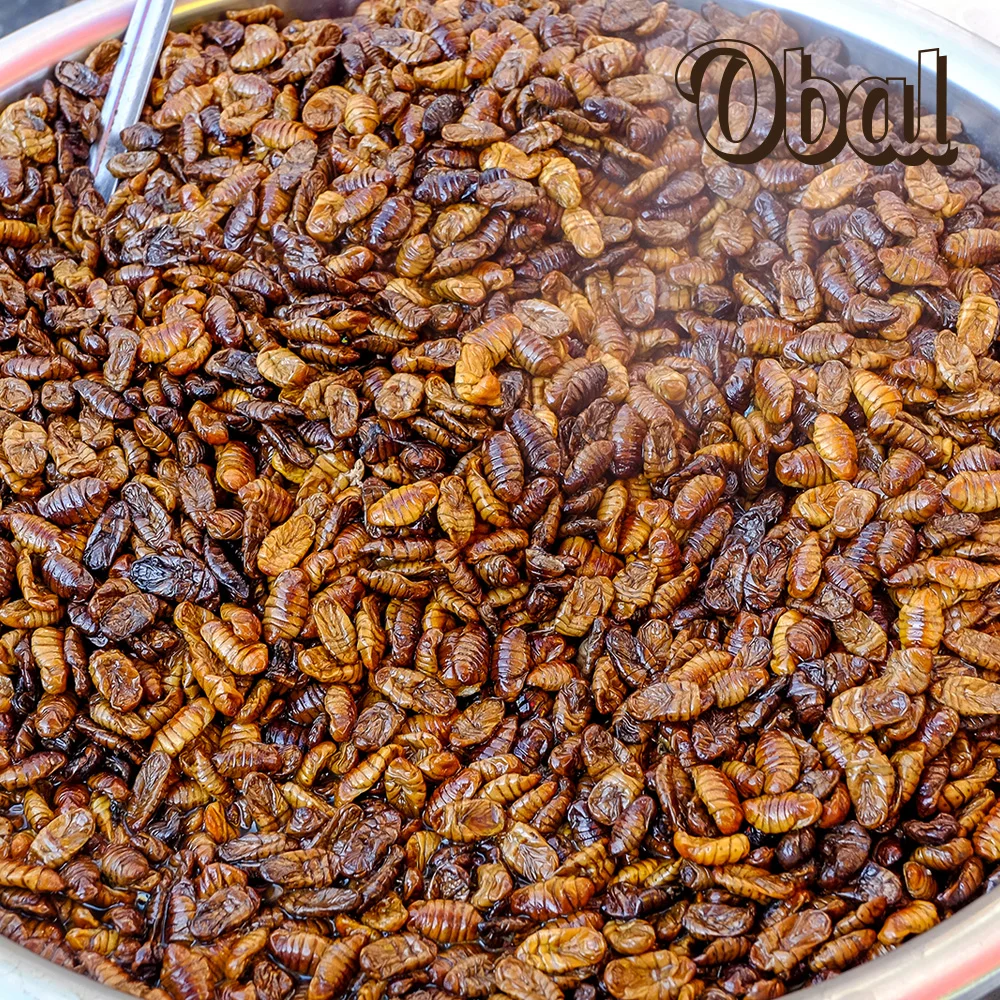 Obal frozen silkworm 1kg / food larvae / K-food