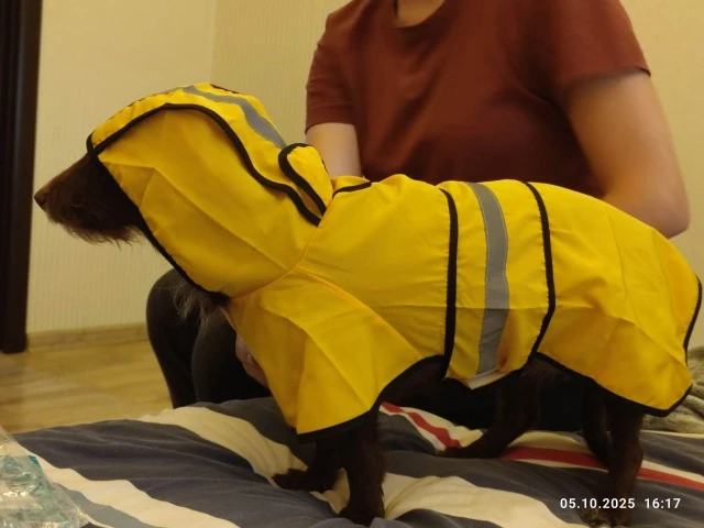 Customer review photo for Waterproof Dog Raincoat — Adjustable, Windproof & Hooded