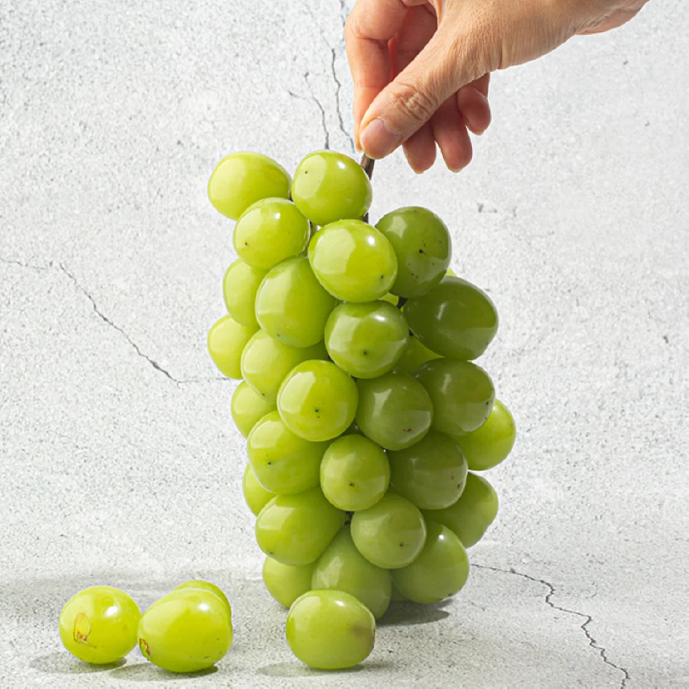 Shine Muskat grapes