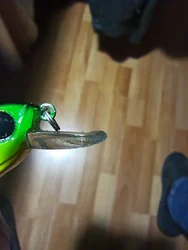 Imagen de reseña 2