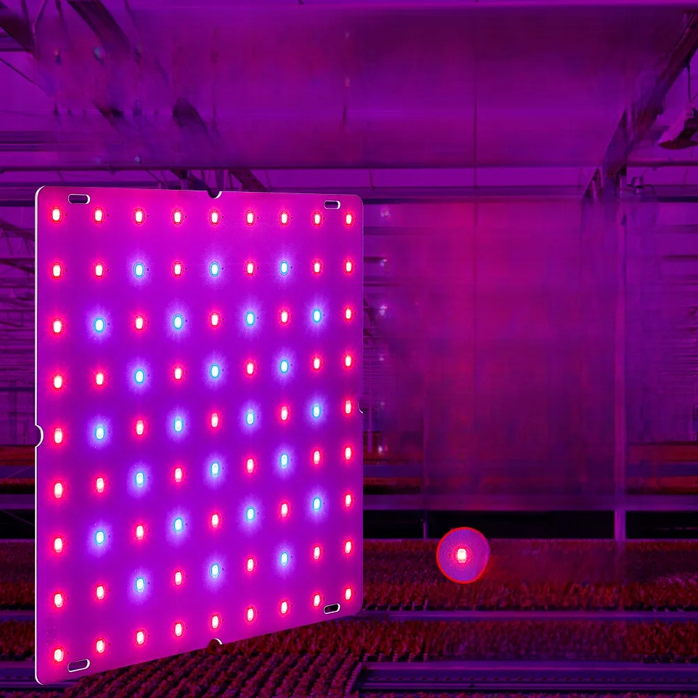 LED Grow Lights Full Spectrum Quantum Board Phytolamp For Plant Indoor Flower Seeds Hydroponics Greenhouse Tent Cultivation Lamp