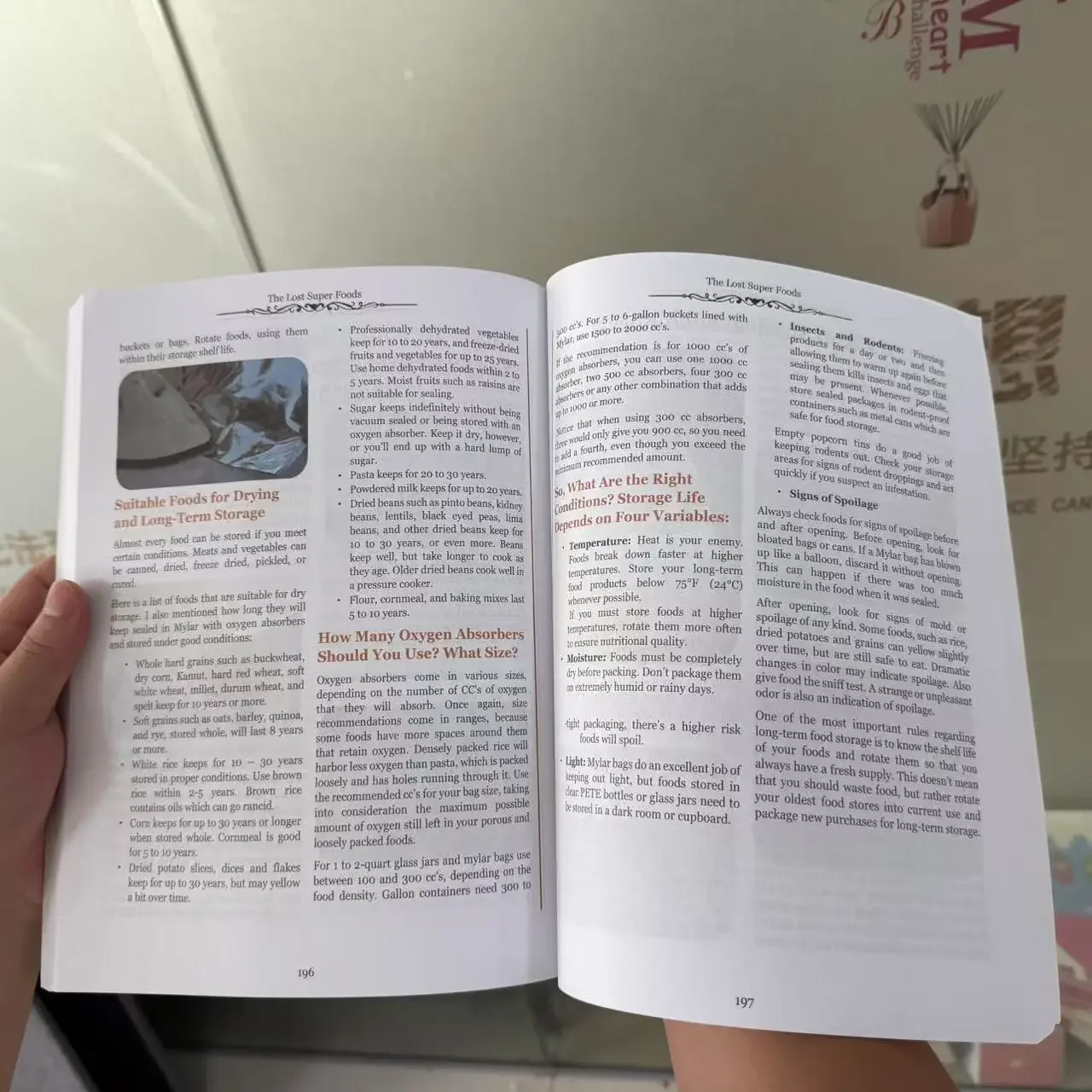 Un Nuovo Libro di Sopravvivenz - Food Storage Guide recensione e prezzo