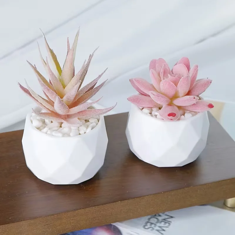 2 Bonsáis Artificiales de Suculentas con Maceta, Duraderos, de Bajo Mantenimiento. Para decoración del hogar, la oficina y festividades.