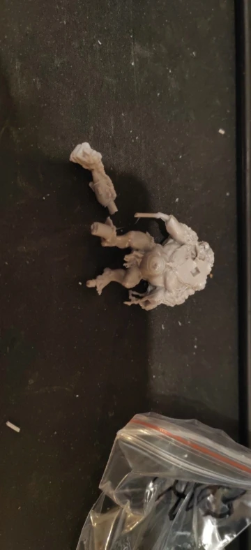 Buyer photo of this resin kit