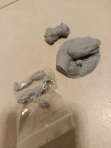 Buyer photo of this resin kit