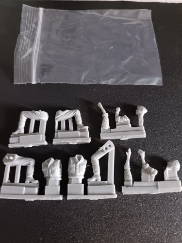 Buyer photo of this resin kit