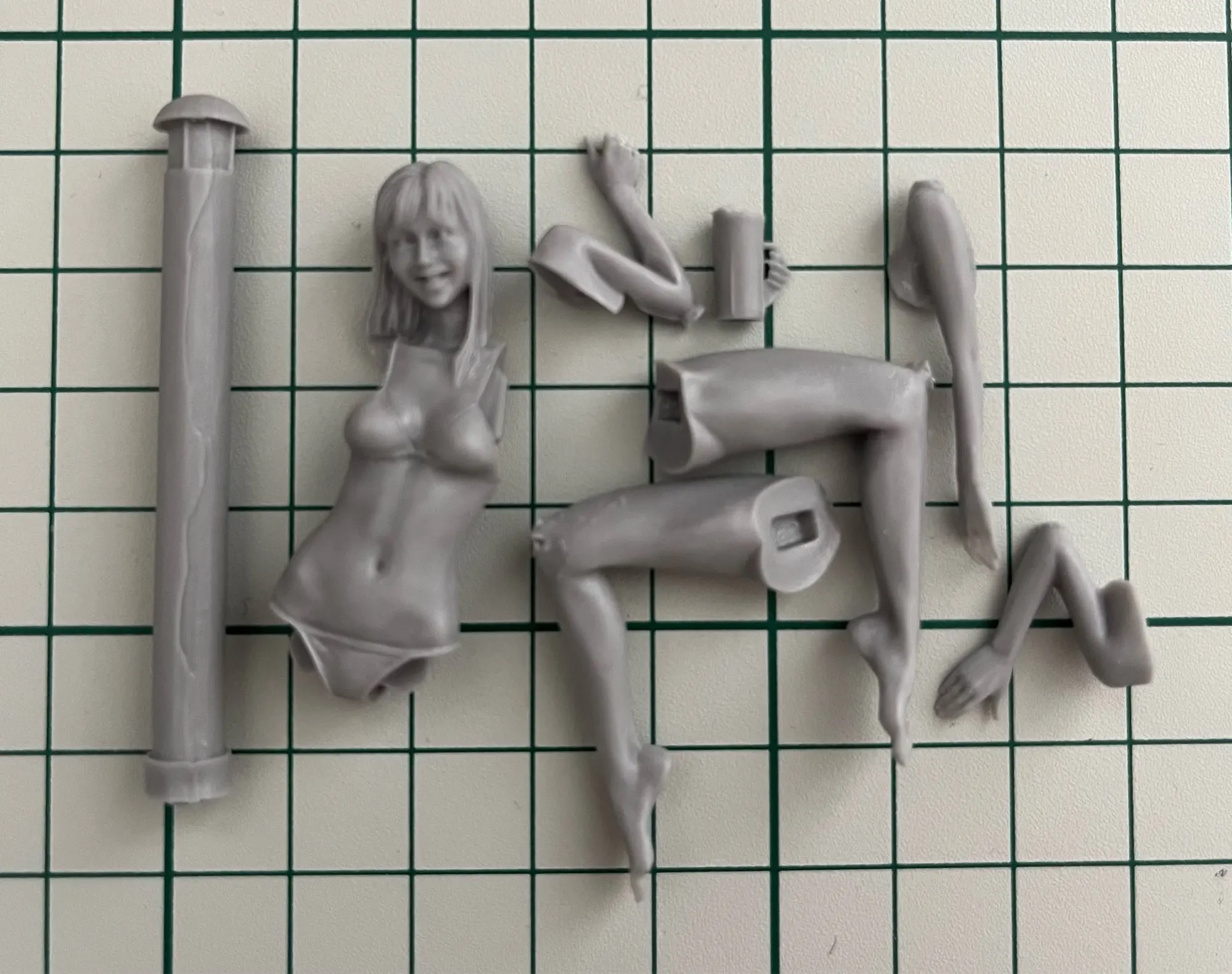 Buyer photo of this resin kit