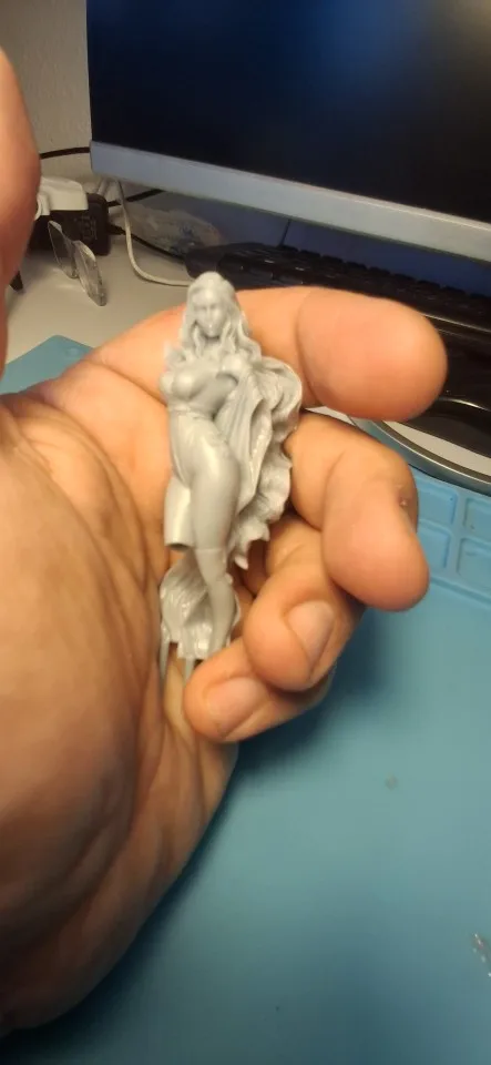 Buyer photo of this resin kit
