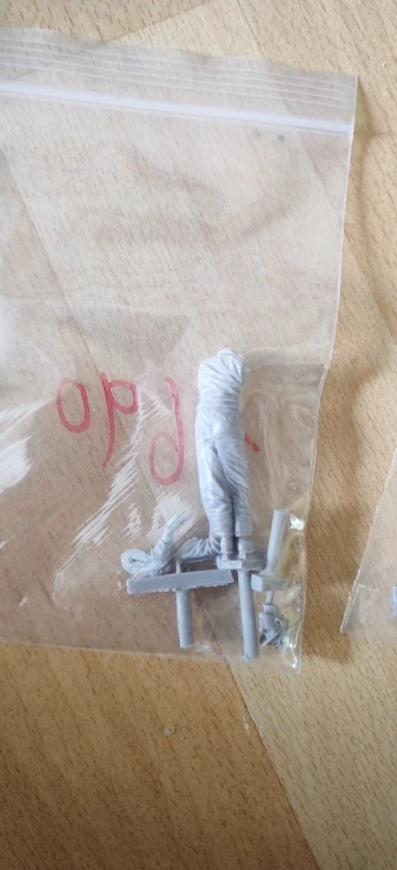Buyer photo of this resin kit