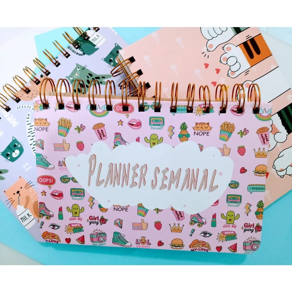 Planner Semanal Permanente Não Datado Espiral Agenda 52 Fls