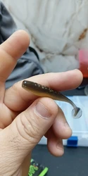 Imagen de reseña 2
