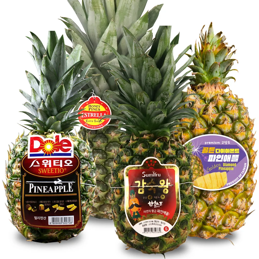 11kg of high sugar sugar gold pineapple for juice (5-12 water Size Random)