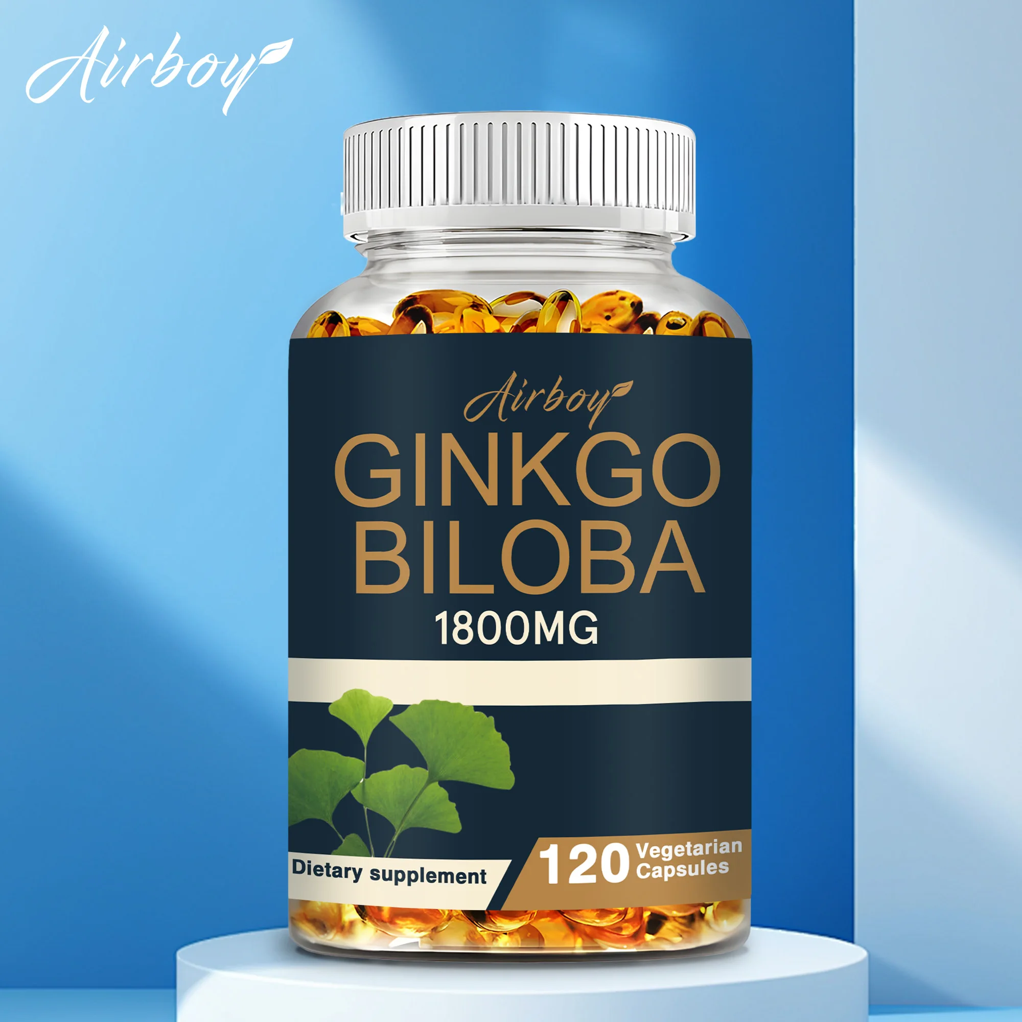 Ginkgo Biloba Capsules - Boost Brain, Improve Memory and Cognitive Abilities, Improve Blood Circulation - 120 Capsules