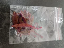 Imagen de reseña 1